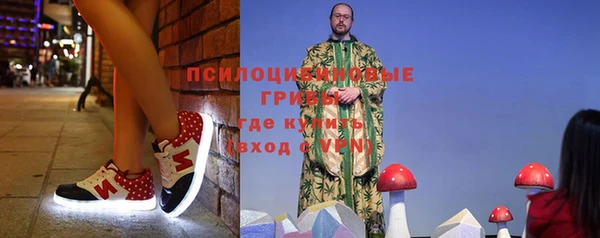 ГАЛЛЮЦИНОГЕННЫЕ ГРИБЫ Медногорск