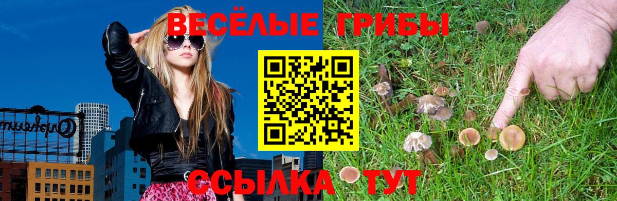 Саратов  Псилоцибиновые грибы мухоморы  Галлюциногенные грибы мухоморы  Вход с VPN 