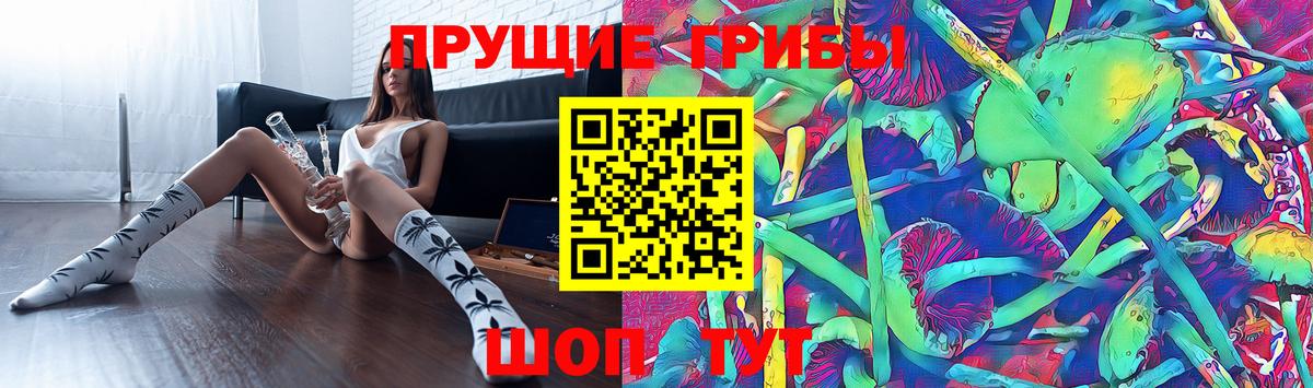 Галлюциногенные грибы Magic Shrooms  Саратов  Псилоцибиновые грибы ЛСД 