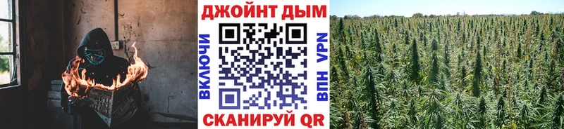 Бошки Шишки White Widow  цена   площадка официальный сайт  Саратов 